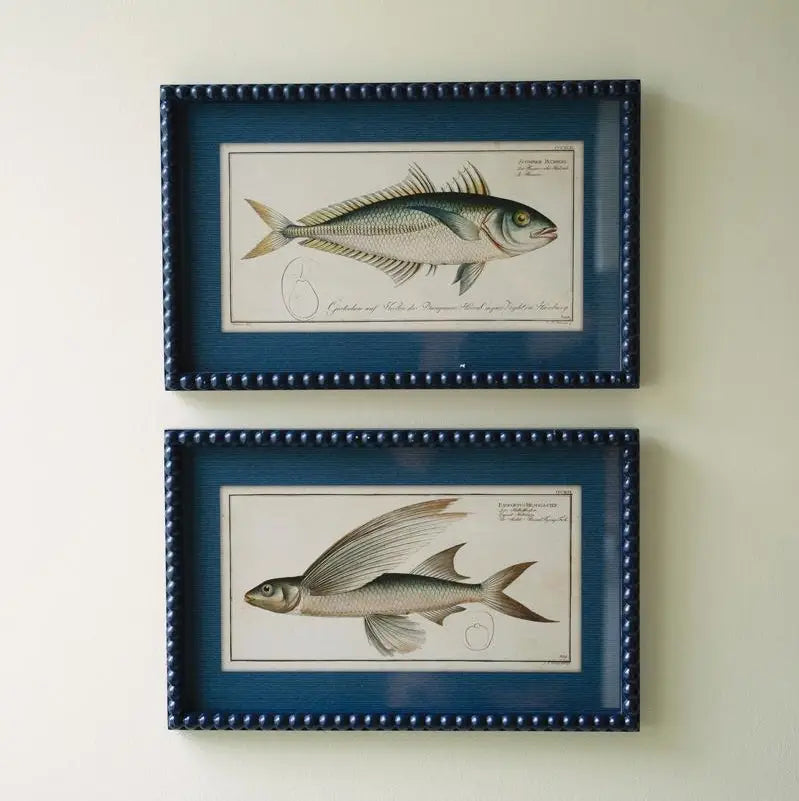 Set of Two Navy Framed Fish Prints Under Glass