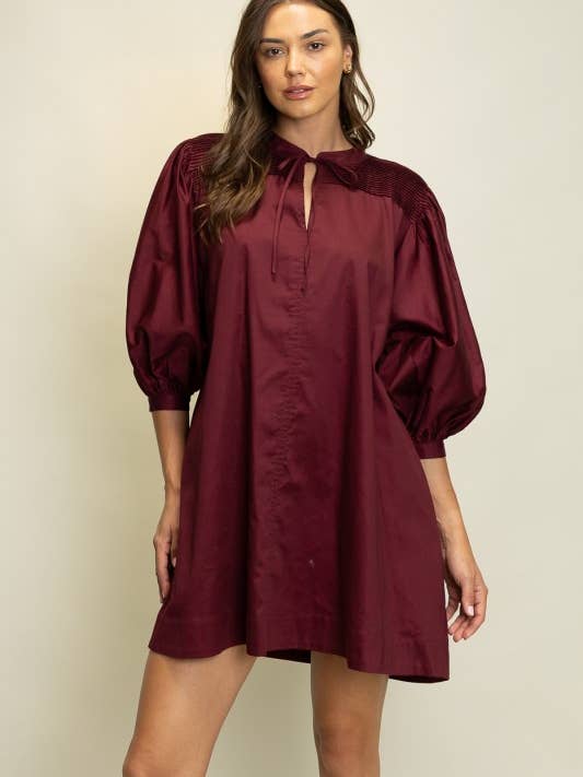 Eden Pintuck Detail A-Line Mini Dress