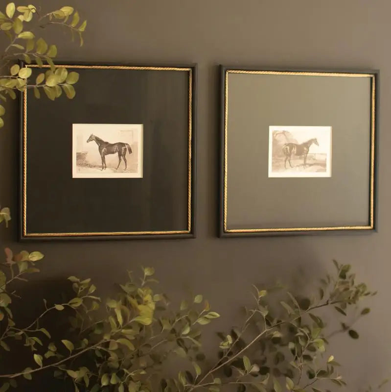 Set of Two Framed Horses Print Under Glass