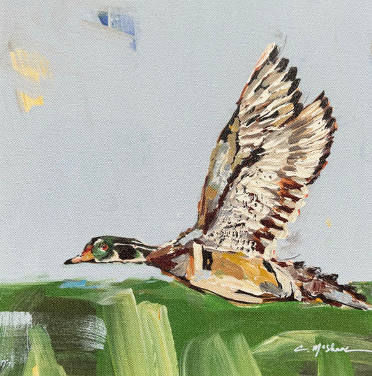 Wood Duck Green Canvas 8x10