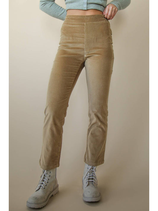 Velvet Pants in Mocha