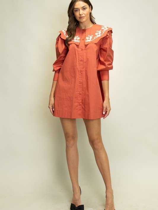 Iris Embroidered Collar Dress
