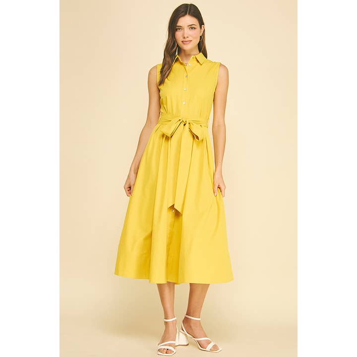 Claire Button Down Flare Dress