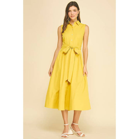 Claire Button Down Flare Dress