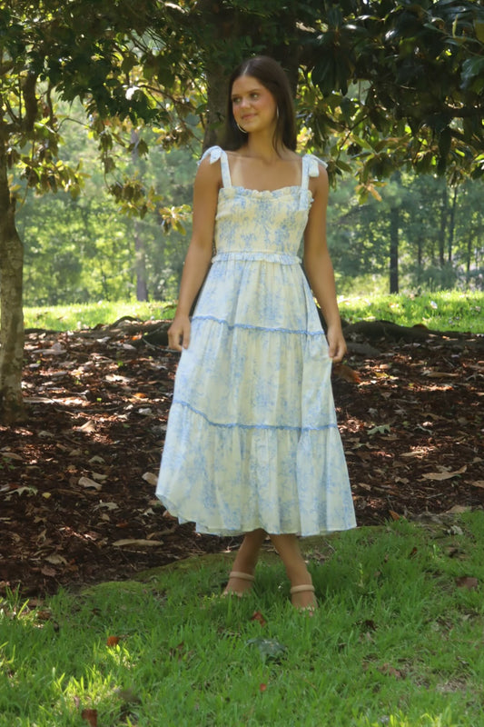 Penelope Dress in Blue Toile