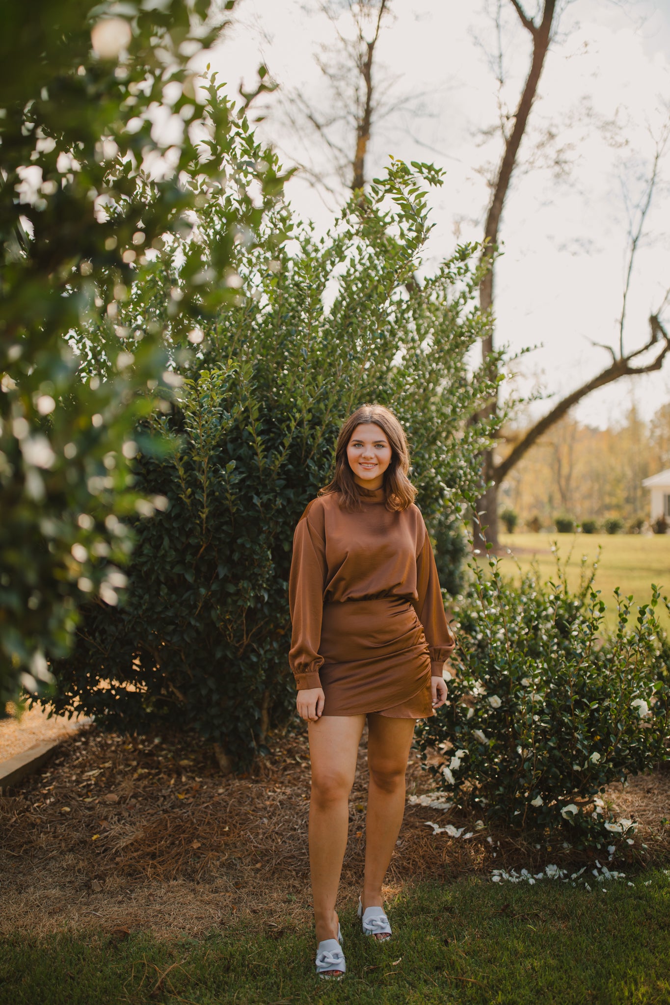 Amelia Dress in Brown