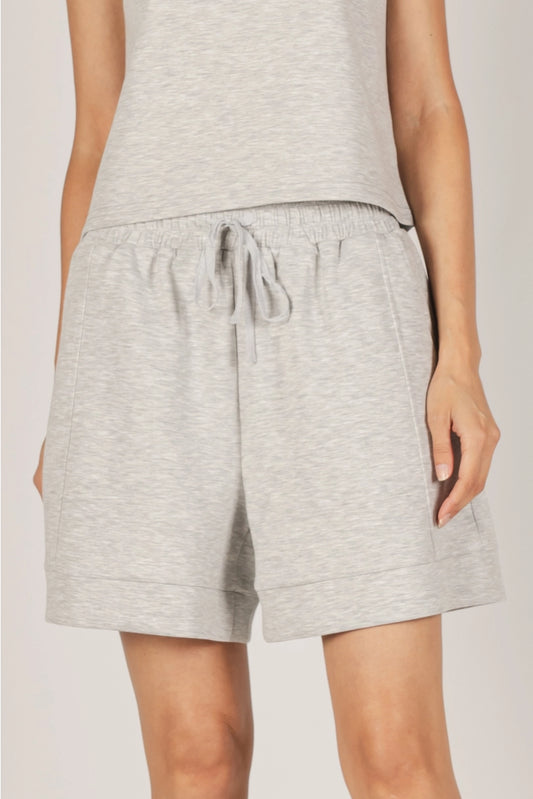 Parker Shorts in Heather Grey